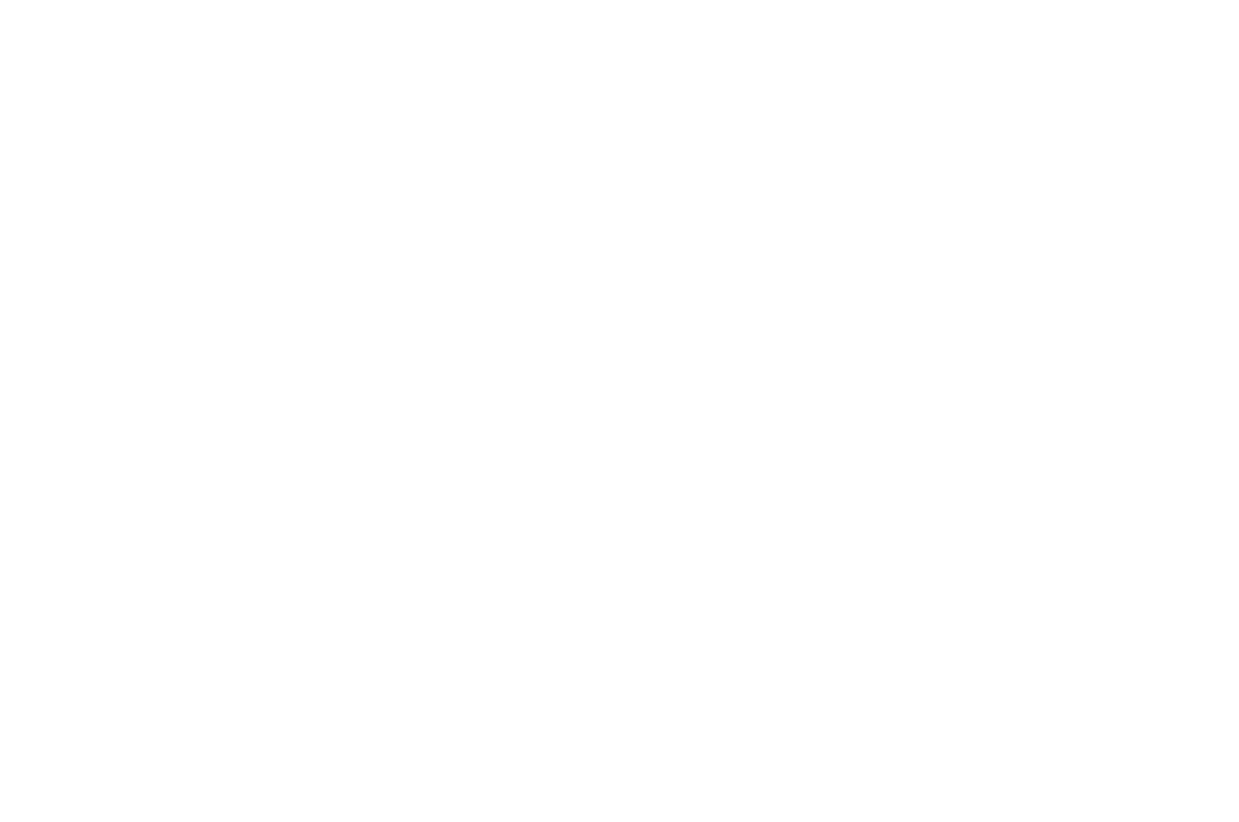SEMI FINALIST - Moondance International Film Festival - 2018